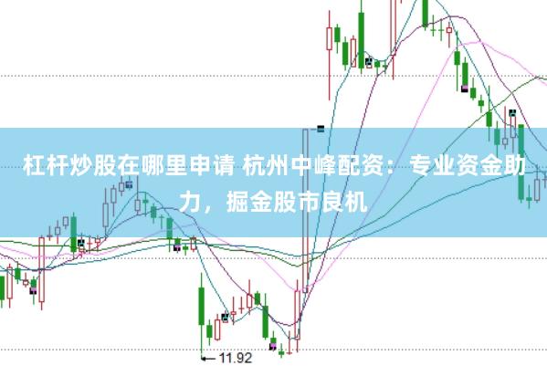 杠杆炒股在哪里申请 杭州中峰配资：专业资金助力，掘金股市良机