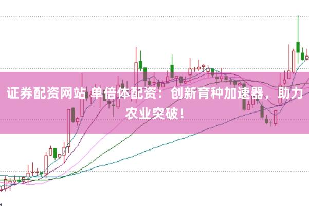 证券配资网站 单倍体配资：创新育种加速器，助力农业突破！