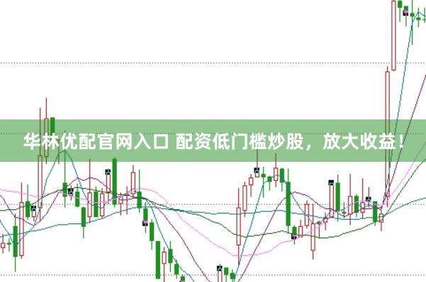 华林优配官网入口 配资低门槛炒股，放大收益！