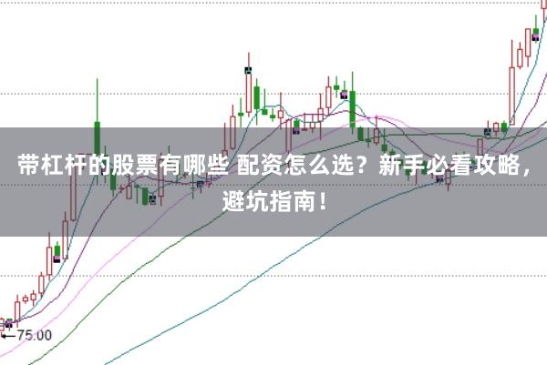 带杠杆的股票有哪些 配资怎么选？新手必看攻略，避坑指南！