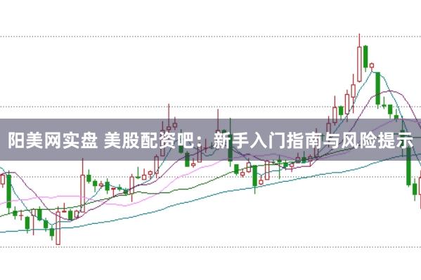 阳美网实盘 美股配资吧：新手入门指南与风险提示
