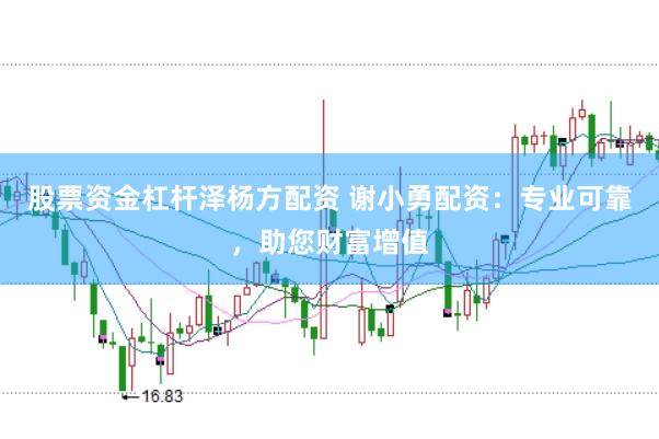 股票资金杠杆泽杨方配资 谢小勇配资：专业可靠，助您财富增值