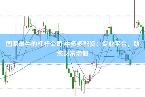 国家最牛的杠杆公司 牛多多配资：专业平台，助您财富增值