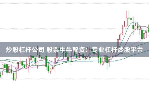 炒股杠杆公司 股票牛牛配资：专业杠杆炒股平台