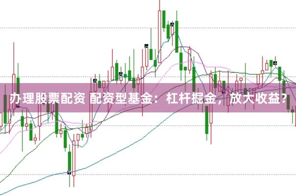 办理股票配资 配资型基金：杠杆掘金，放大收益？
