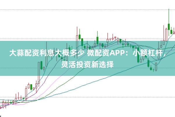 大蒜配资利息大概多少 微配资APP：小额杠杆，灵活投资新选择