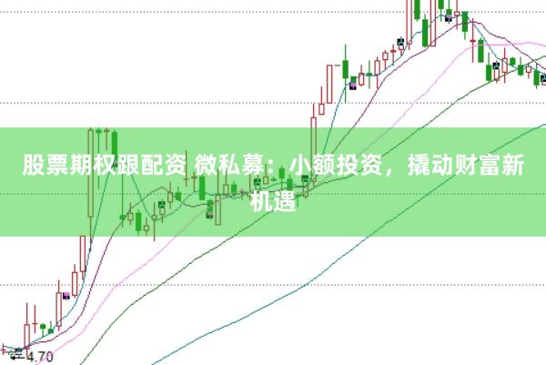 股票期权跟配资 微私募：小额投资，撬动财富新机遇