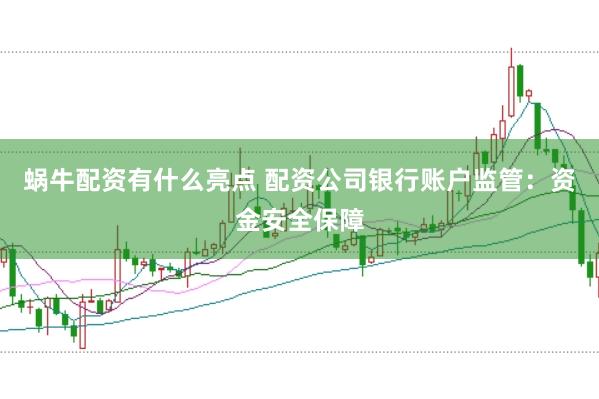 蜗牛配资有什么亮点 配资公司银行账户监管：资金安全保障