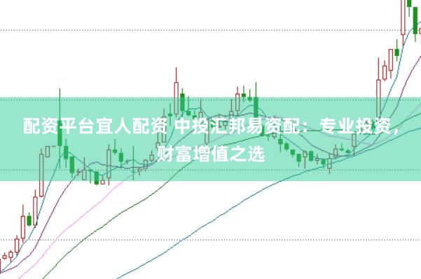 配资平台宜人配资 中投汇邦易资配：专业投资，财富增值之选
