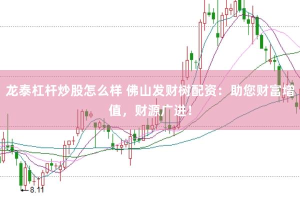 龙泰杠杆炒股怎么样 佛山发财树配资：助您财富增值，财源广进！