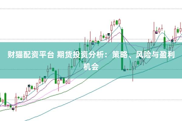 财猫配资平台 期货投资分析：策略、风险与盈利机会
