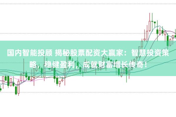 国内智能投顾 揭秘股票配资大赢家：智慧投资策略，稳健盈利，成就财富增长传奇！