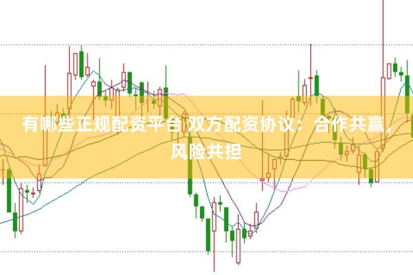 有哪些正规配资平台 双方配资协议：合作共赢，风险共担