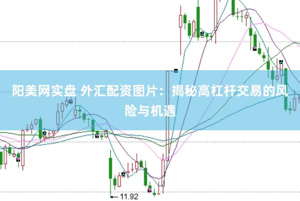 阳美网实盘 外汇配资图片：揭秘高杠杆交易的风险与机遇