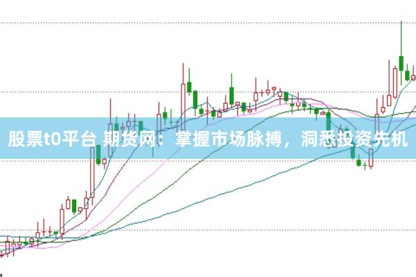 股票t0平台 期货网：掌握市场脉搏，洞悉投资先机
