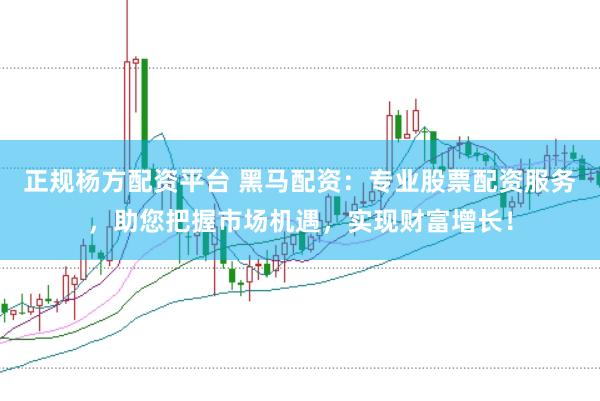 正规杨方配资平台 黑马配资：专业股票配资服务，助您把握市场机遇，实现财富增长！